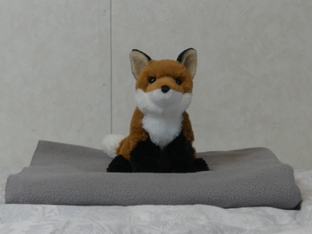 Unnamed 32 (Red Fox, Douglas)